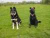 dsc00090_small.jpg