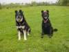 dsc00091_small.jpg