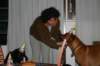 img_7526_small.jpg