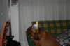 img_7527_small.jpg