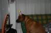 img_7528_small.jpg