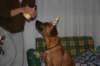 img_7530_small.jpg