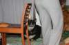 img_7532_small.jpg