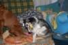 img_7533_small.jpg