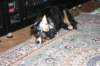 img_7541_small.jpg