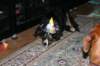 img_7544_small.jpg