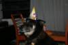 img_7547_small.jpg