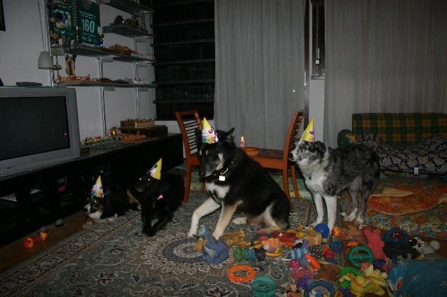 img_7549.jpg