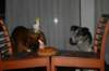 img_7563_small.jpg