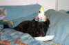 img_7586_small.jpg