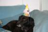 img_7587_small.jpg