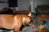img_7590_small.jpg