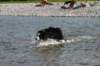 img_6321_small.jpg