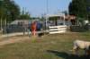 img_6404_small.jpg