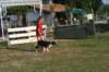img_6405_small.jpg