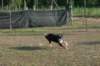 img_6410_small.jpg