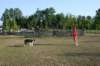 img_6418_small.jpg