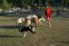 img_6420_small.jpg