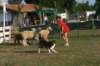 img_6427_small.jpg