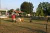 img_6445_small.jpg