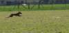 img_7435_small.jpg