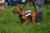 img_7479_small.jpg