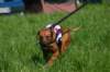 img_7480_small.jpg