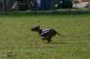 img_7490_small.jpg