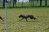 img_7491_small.jpg