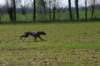 img_7494_small.jpg