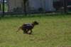 img_7495_small.jpg