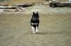 img_7243_small.jpg