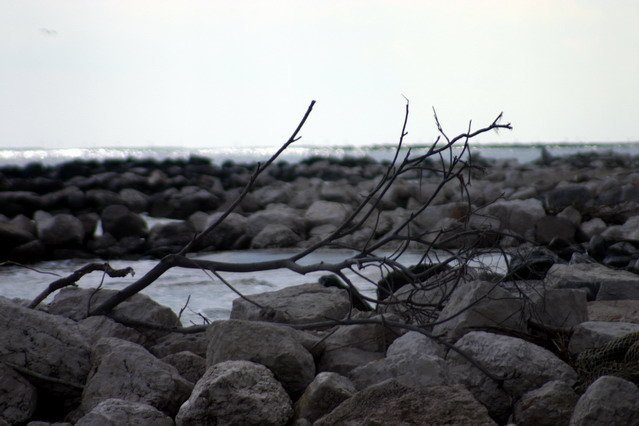 img_7248.jpg
