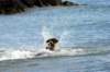 img_7249_small.jpg