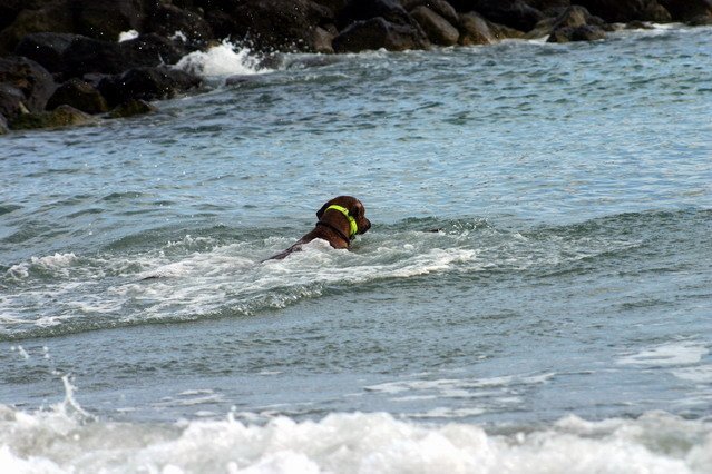 img_7267.jpg