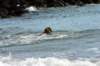 img_7267_small.jpg